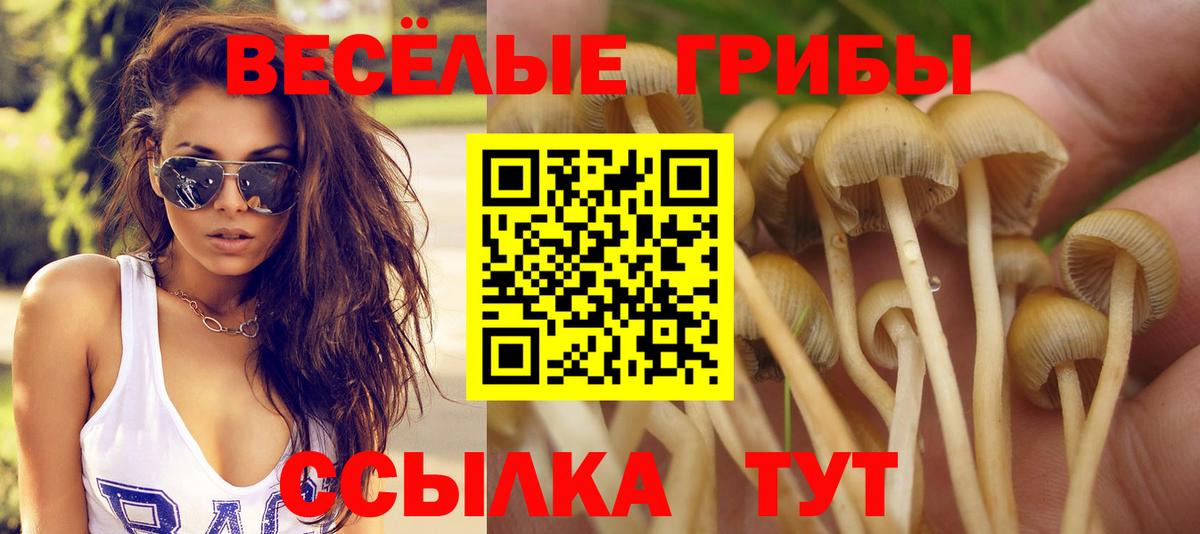 закладка  Галлюциногенные грибы ЛСД  Вход с VPN  Кольчугино 